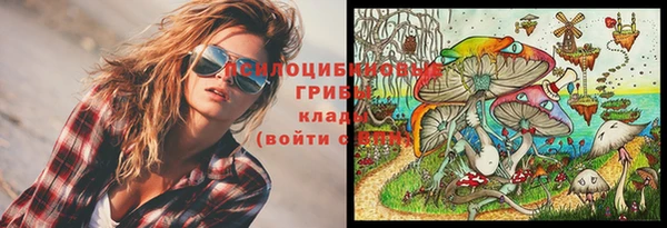 не бодяженный Армянск