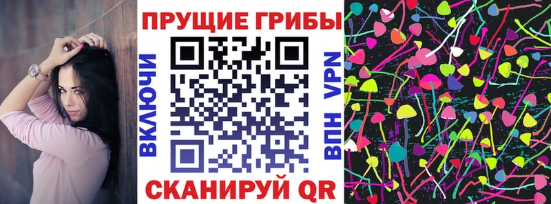 Галлюциногенные грибы Psilocybe  нарко площадка как зайти  Тейково 
